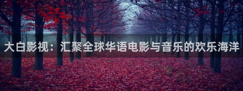 丝瓜的管理视频：大白影视：汇聚全球华语电影与音乐的欢乐海洋