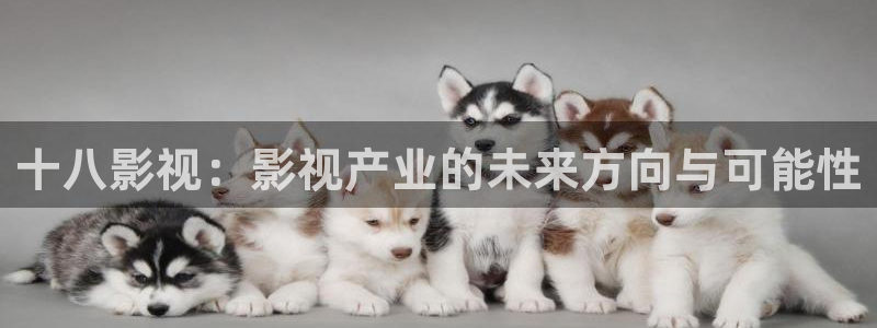 丝瓜视频18+：十八影视：影视产业的未来方向与可能性