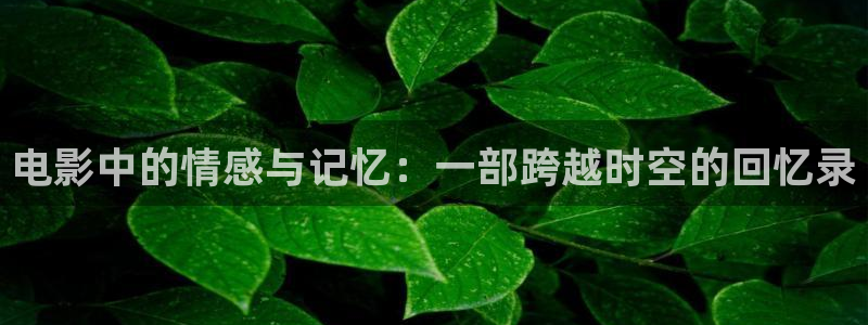 丝瓜视频污向日葵视频污：电影中的情感与记忆：一部跨越时空的回忆录