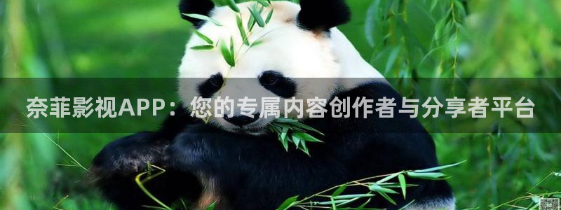 丝瓜草莓免费视频：奈菲影视APP：您的专属内容创作者与分享者平台