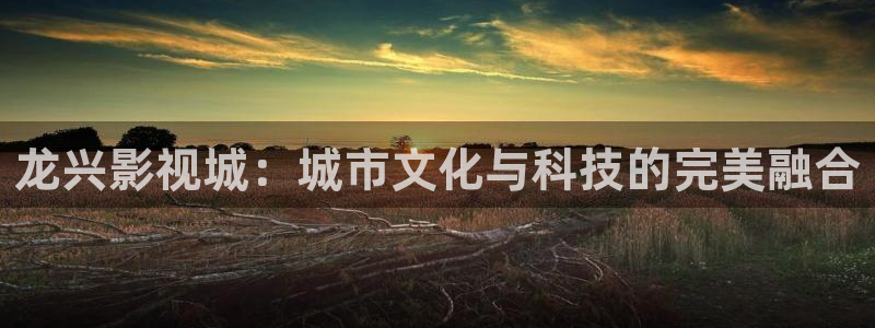 草莓视频 向日葵视频 芭乐视频 丝瓜视频：龙兴影视城：城市文化与科技的完美融合