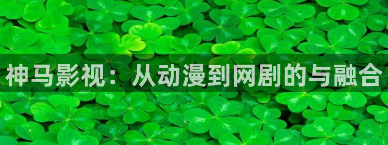 丝瓜视频成人免费：神马影视：从动漫到网剧的与融合